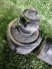 Амортизатор правый задний DAIHATSU TERIOS J100G HCEJ 48530-87406 3 ракурс