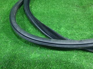 Уплотнительная резинка дверей левая передняя BMW X5 F15 N57D30A 51727289608 4 ракурс