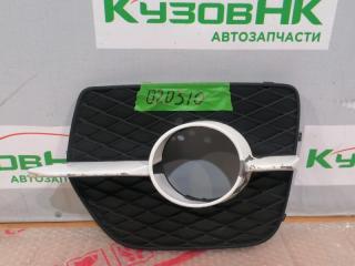 Запчасть оправа птф передняя левая BMW X6 2008-2014