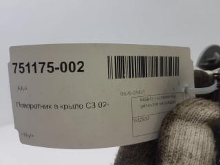 Поворотник в крыло Citroen C 3 6325G3, передний