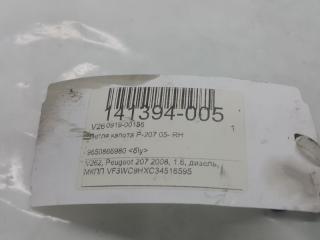 Петля капота Peugeot 207 791298, правая