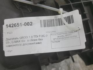 Двигатель Ford Focus 1679684 G8DD 1.6 TDI