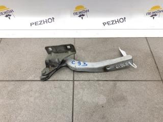 Петля капота Nissan Qashqai 2009 65401JD000 ВНЕДОРОЖНИК 1.6, левая