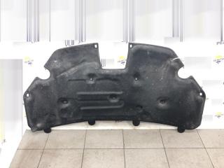 Шуба капота Ford Focus 2007 1495860 КАБРИОЛЕТ 2.0