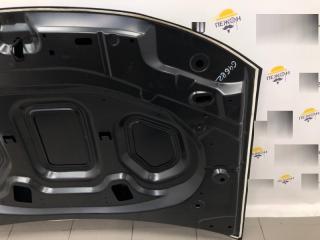 Капот Renault Duster 2010-2020 651000987R