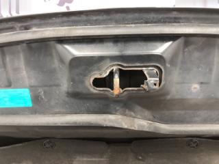 Капот Nissan Qashqai 2007 F5100JD0M0 J10E 2.0 MR20DE