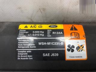 Решетка радиатора Ford C-Max 1371893