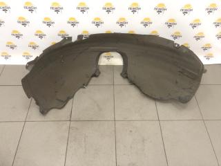 Подкрылок Ford Focus 2007 1359240 DA_ 1.8 QQDB, передний левый