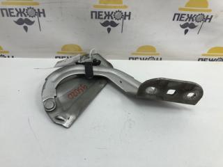 Петля капота Ford Focus 2011 1750016 3 1.6 PNDA, правая