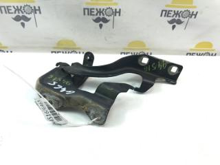 Петля капота Chevrolet Captiva 2009 95049936 C100 2.4 Z24SED, левая