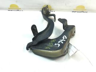 Петля капота Chevrolet Captiva 2009 95049936 C100 2.4 Z24SED, левая