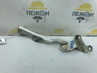 Петля капота Kia Rio 2009 791201G001 JB 1.4 G4EE, правая