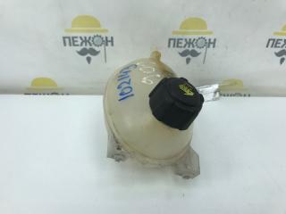 Бачок расширительный Renault Sandero 2013 217104354R B52 0.9 H4BA400