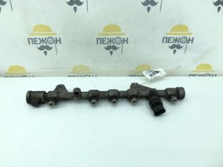 Рампа топливная Renault Megane 175212059R BZ0N 1.9 DCI