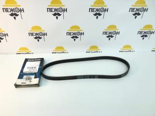 Ремень компрессора кондиционера Ford Focus 5PK869 2