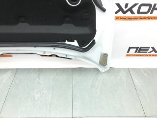 Капот Land Rover Discovery Sport 2021 LR133101 L550 2.0 204DTY