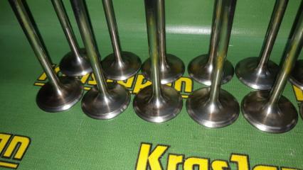 Клапан впускной X5 4.4i 2000 E53 M62 B44 Клапан впускной X5 4.4i 2000 E53 M62 B44