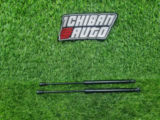 Амортизатор капота HYUNDAI SANTA FE CM D4EA7333090 811602B010 2 ракурс