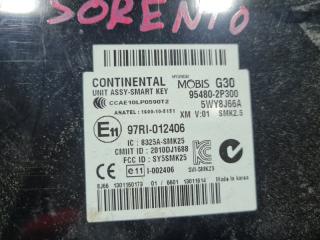 Электронный блок KIA SORENTO XM D4HB 954802P300 2 ракурс
