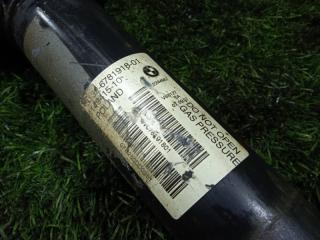 Стойка правая передняя BMW X5 E70 M57D30 31326781918 5 ракурс