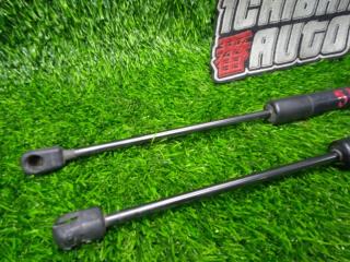 Амортизатор багажника VOLKSWAGEN TIGUAN 5N1 CBAB