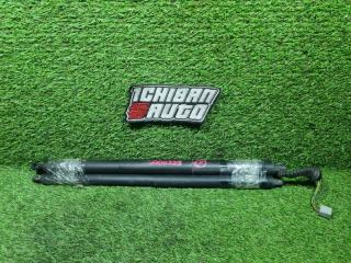 Амортизатор задней двери задний BMW 5-Series 2011