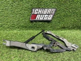 Петля капота BMW 7-SERIES F02 N63B44A 41007204555 4 ракурс