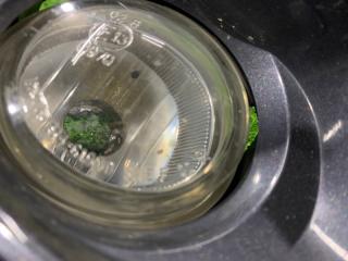 Туманка передняя правая MPV LY3P