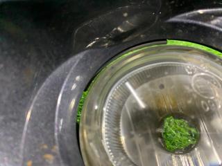 Туманка передняя левая MPV LY3P