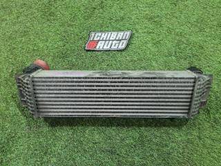 Интеркулер BMW 7-SERIES F02 N54B30 17517577115 2 ракурс