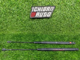 Амортизатор капота передний MERCEDES-BENZ M-CLASS 2005