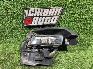 Запчасть туманка передняя правая VOLKSWAGEN PHAETON 2010