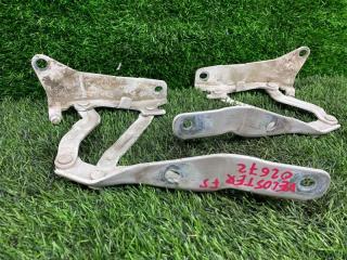 Петля капота HYUNDAI VELOSTER FS G4FJ 791102V000 4 ракурс