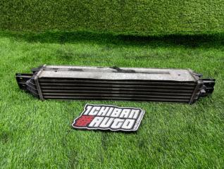 Интеркулер DAEWOO WINSTORM 2007