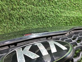Решетка радиатора KIA CARNIVAL VQ D4HB 863504D950 4 ракурс