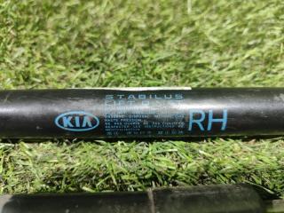 Амортизатор задней двери KIA MOHAVE HM D6EB 811602J000 4 ракурс