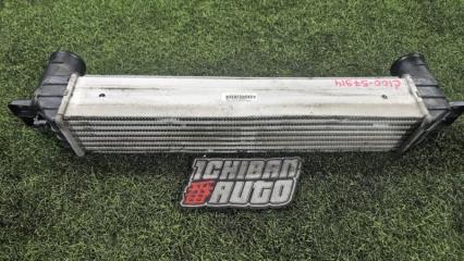 Интеркулер DAEWOO WINSTORM 2007