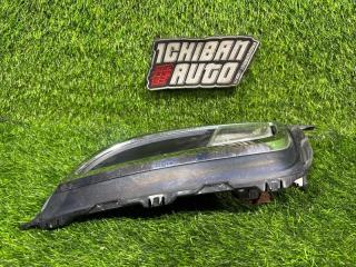 Туманка передняя правая BIANTE CCEFW