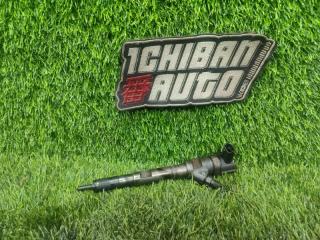 Форсунка HYUNDAI GRAND STAREX 2009