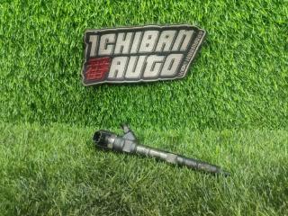 Форсунка HYUNDAI GRAND STAREX 2009