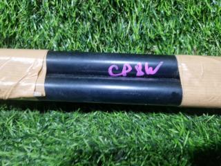 Амортизатор задней двери задний PREMACY CP8W