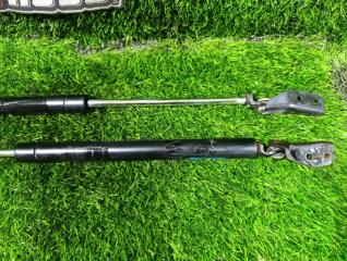 Амортизатор задней двери задний PREMACY CP8W