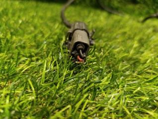 Датчик положения коленвала PREMACY CP8W