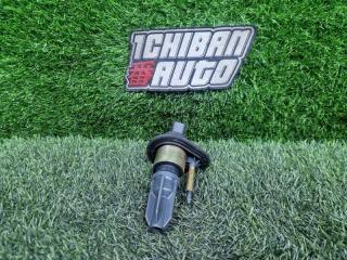Катушка зажигания CHEVROLET TrailBlazer GMT360 LL8 12568062 3 ракурс