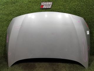 Капот RENAULT SAMSUNG SM3 2010