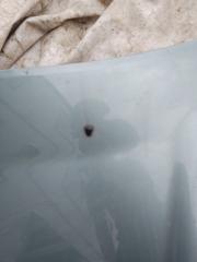 Капот передний Freelander 2003 25K4F 2.5