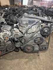 Двигатель Ford Escape