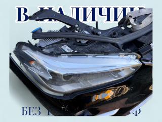 Ноускат X1 2017 F48