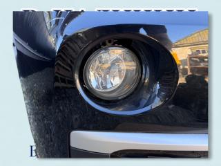 Ноускат X1 2017 F48