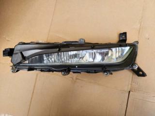 Туманка передняя левая Lexus RX300 RX350 RX450h 2019-2022